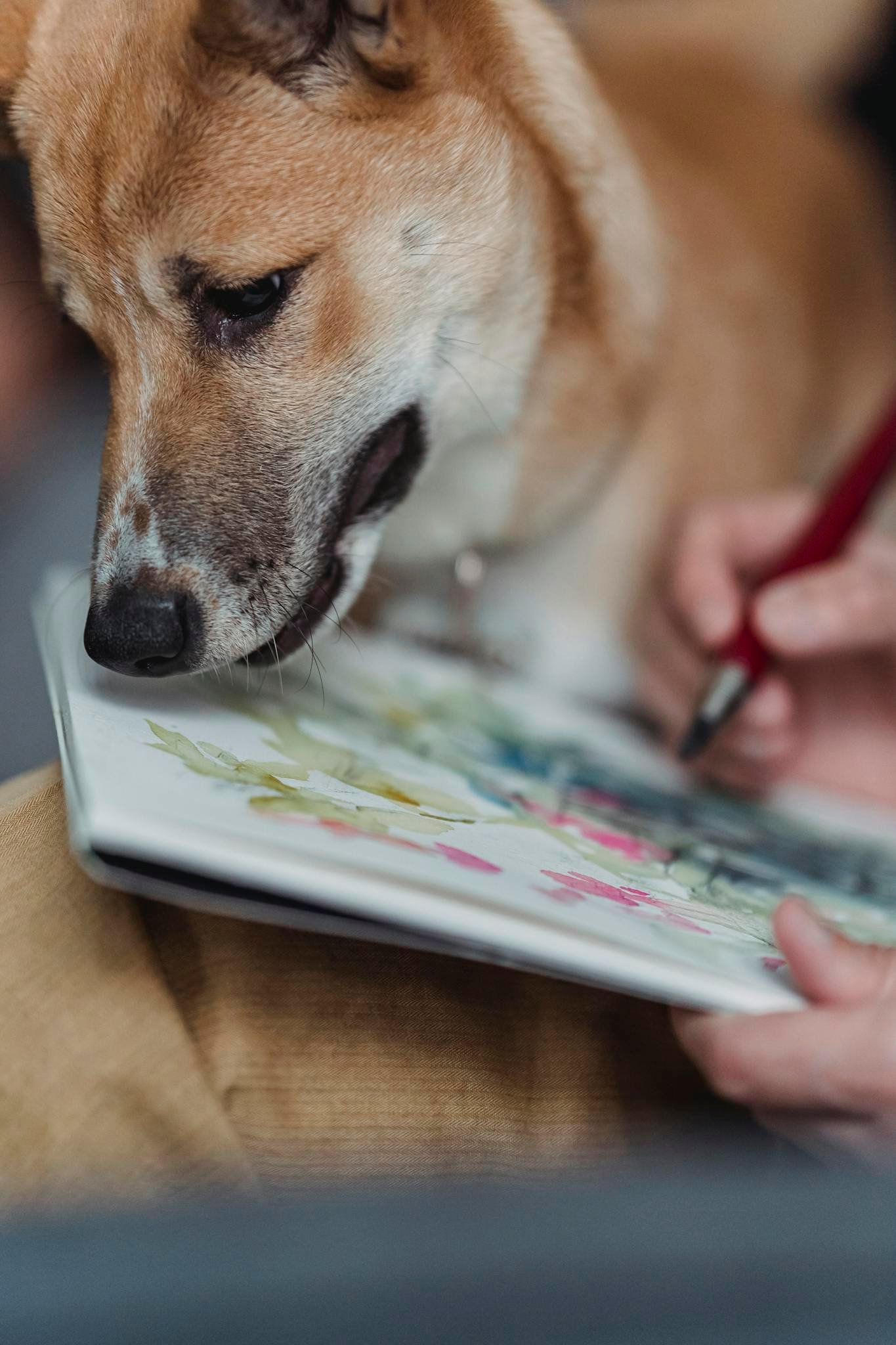 Accueil 8 A curious dog watching a watercolor painting being created, showcasing a blend of art and companionship.