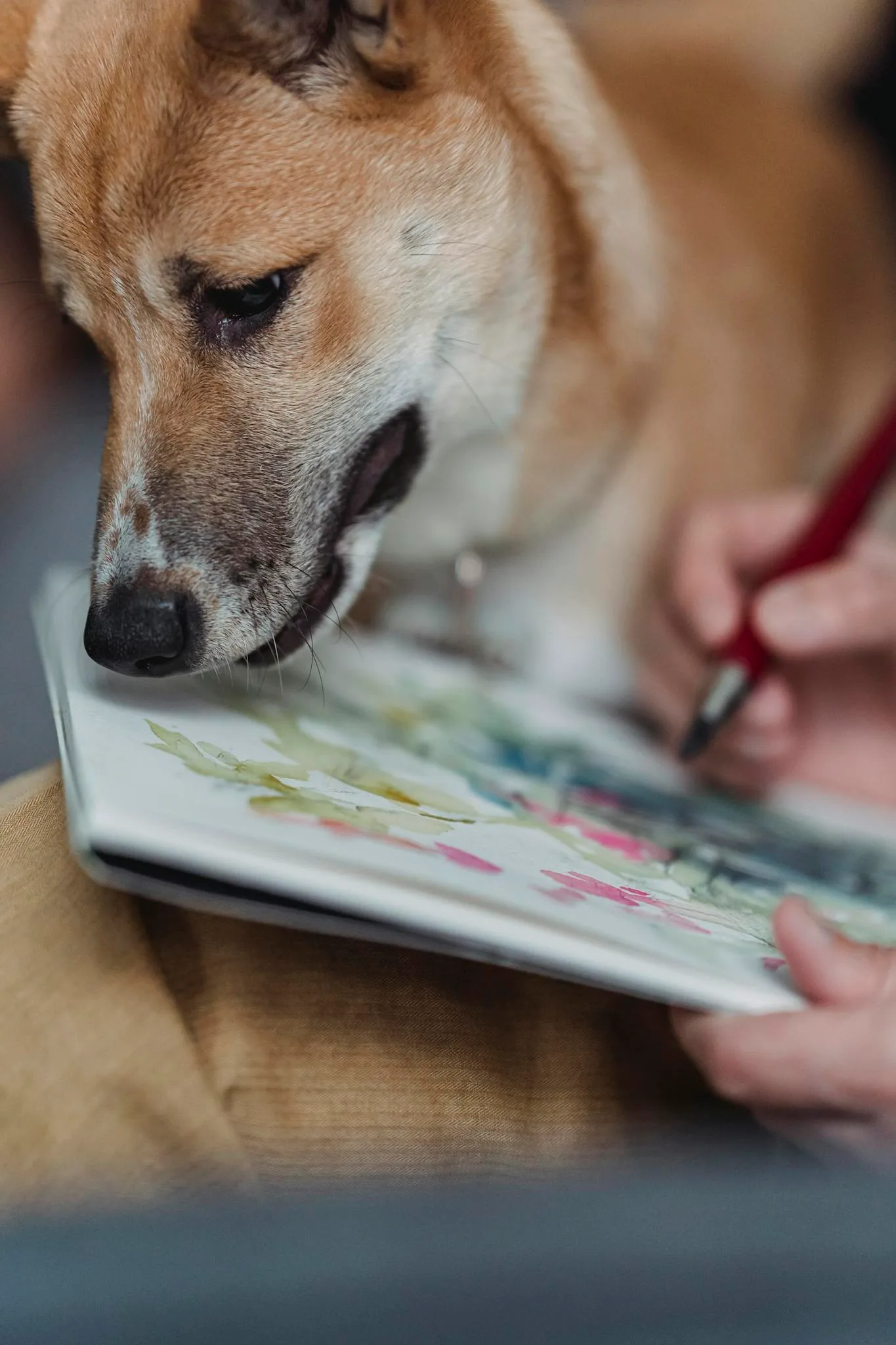 A curious dog watching a watercolor painting being created, showcasing a blend of art and companionship.