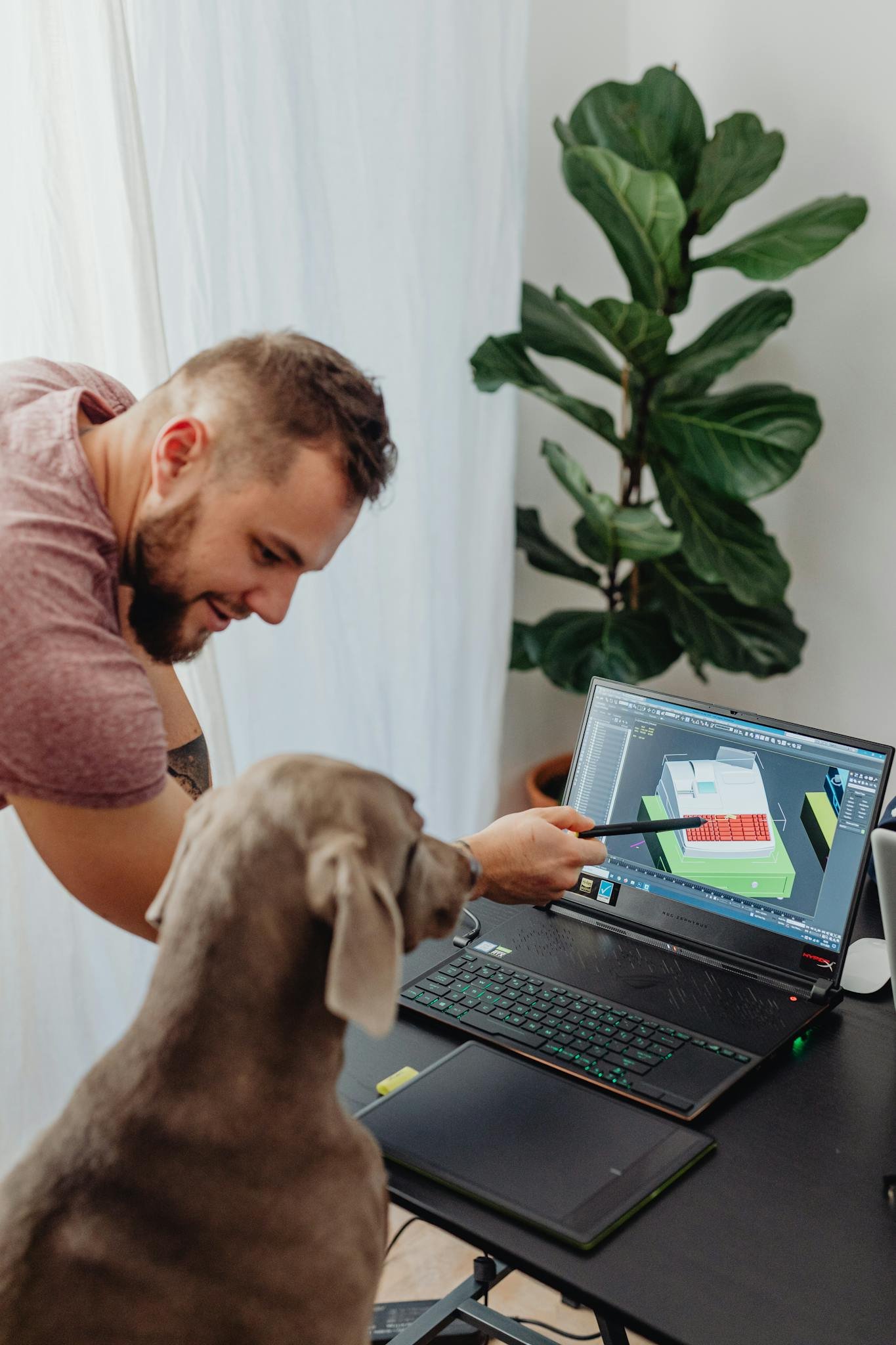 A man instructs a dog using a laptop in a home office with a potted plant nearby.