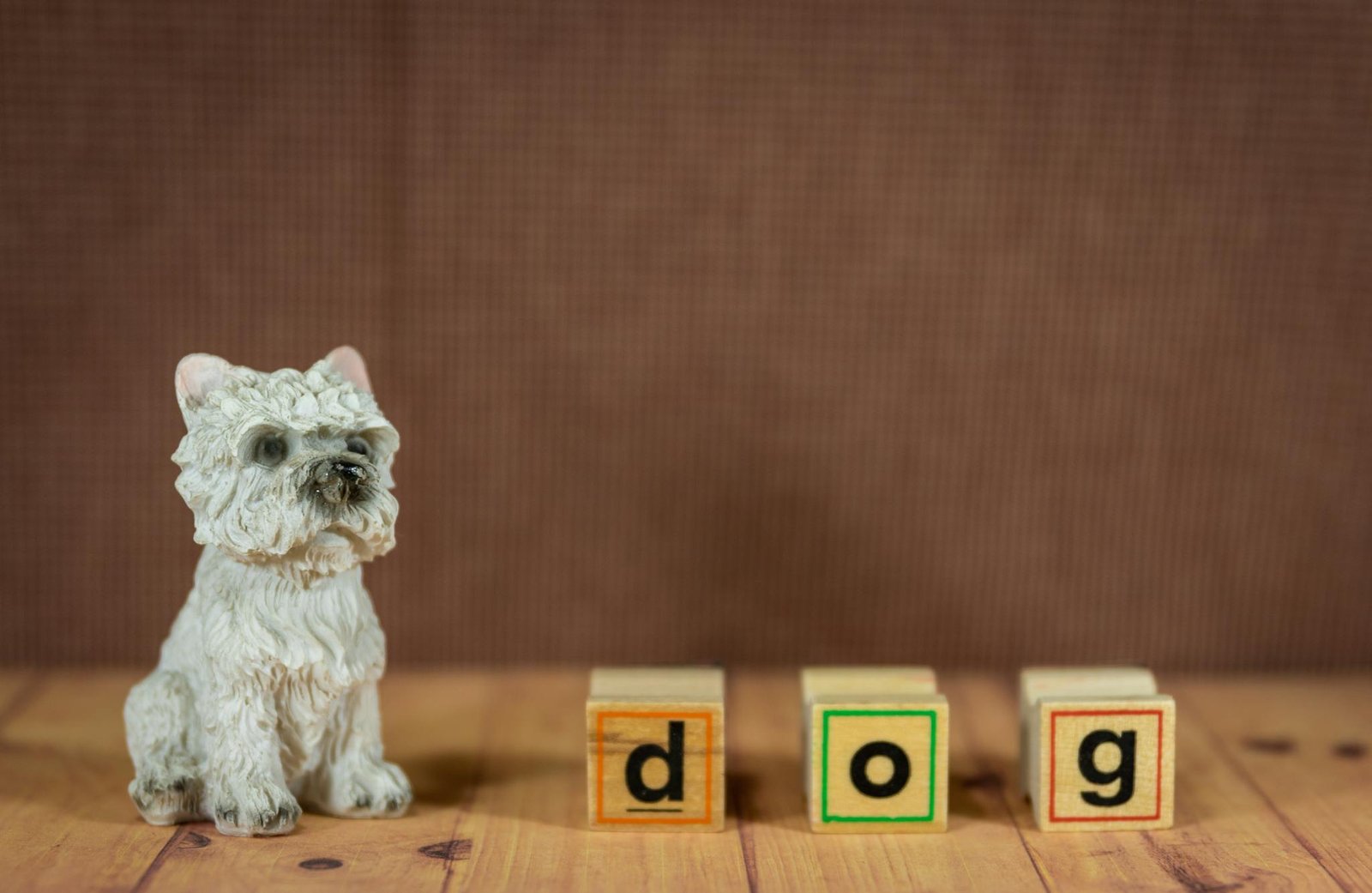 Accueil 13 Cute dog figurine next to colorful wooden blocks spelling 'dog' on a wood surface. Perfect for toy or pet-themed visuals.